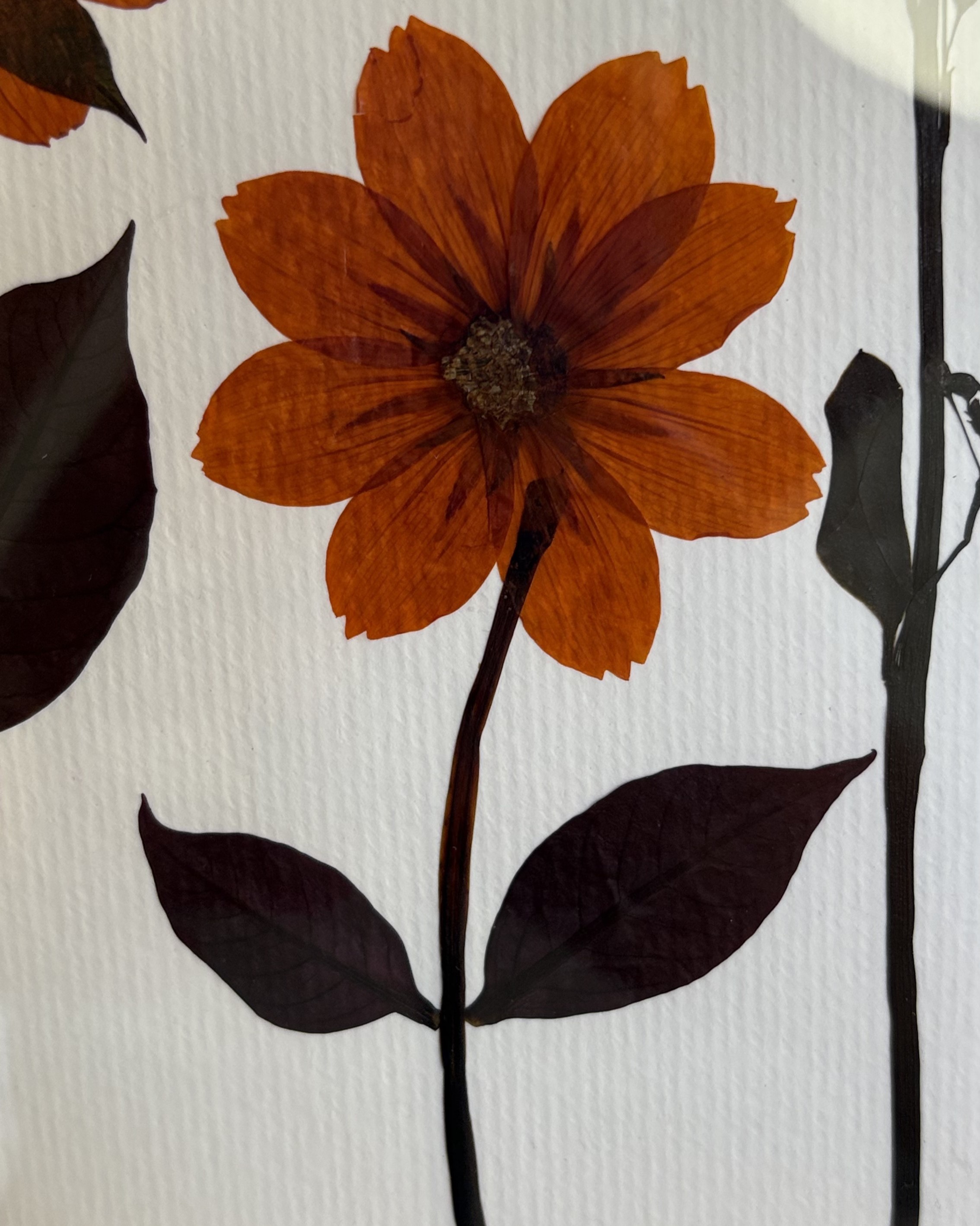 Quase primavera - imagem 2
