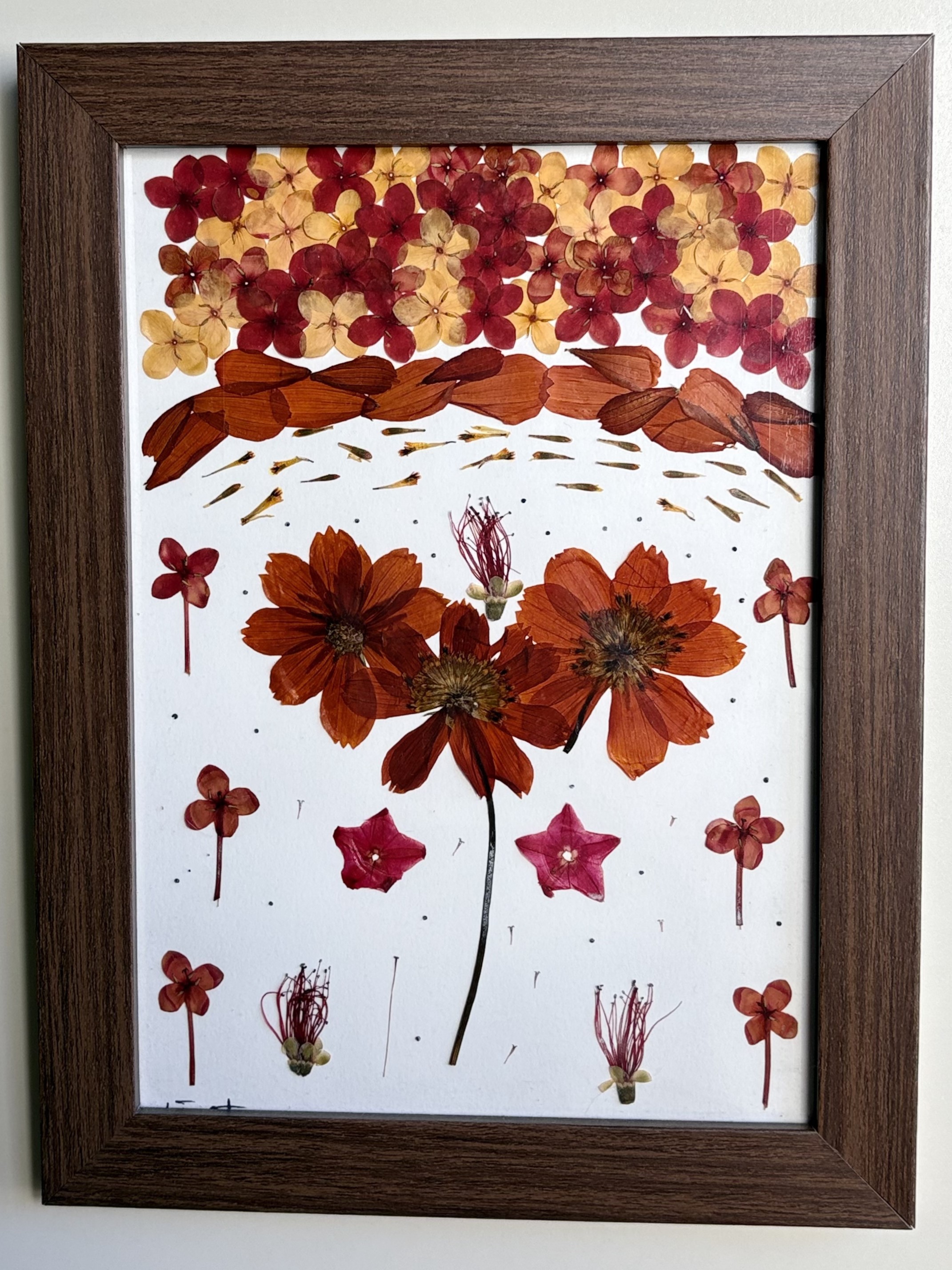 Calor floral