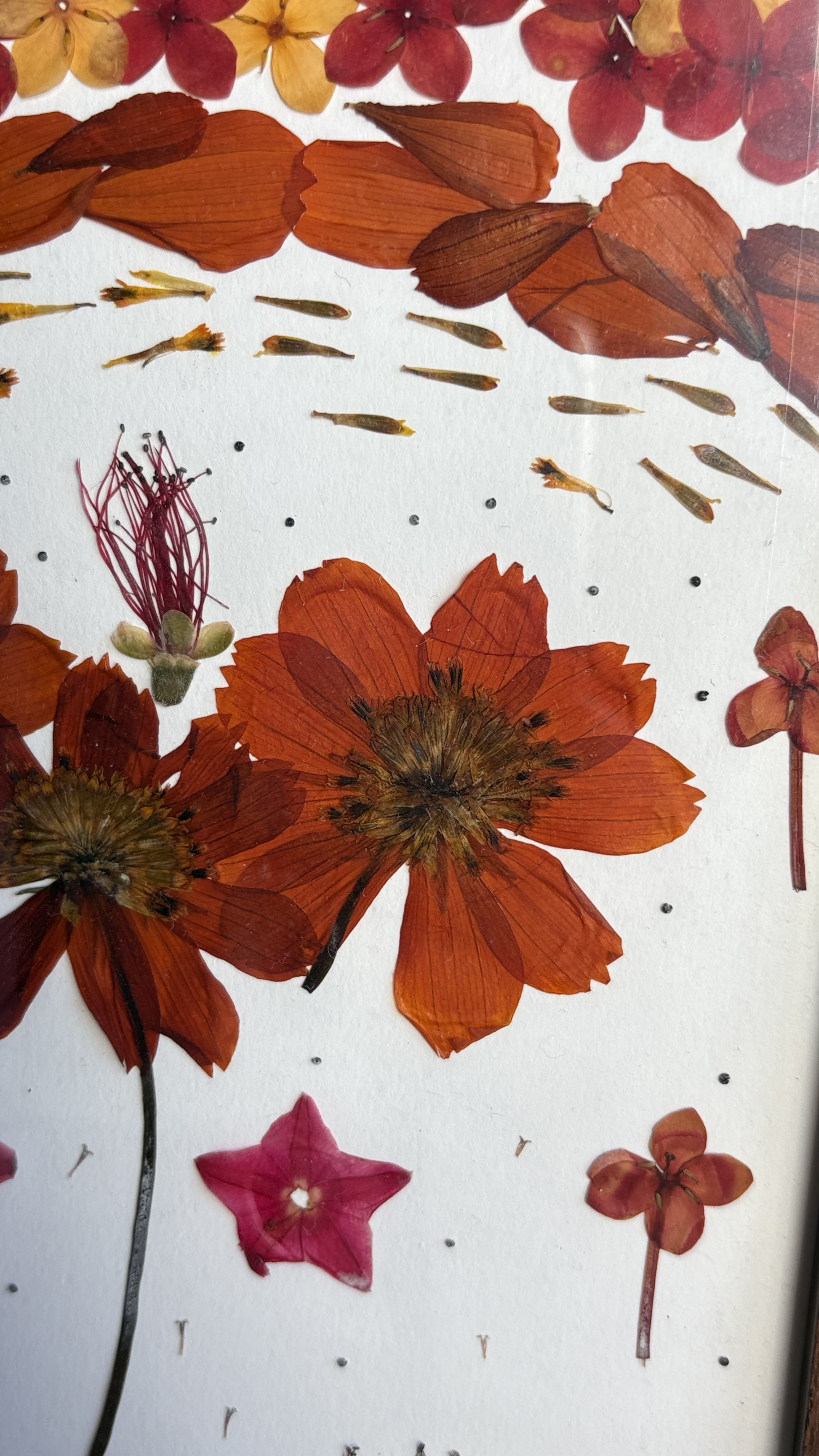 Calor floral - imagem 3