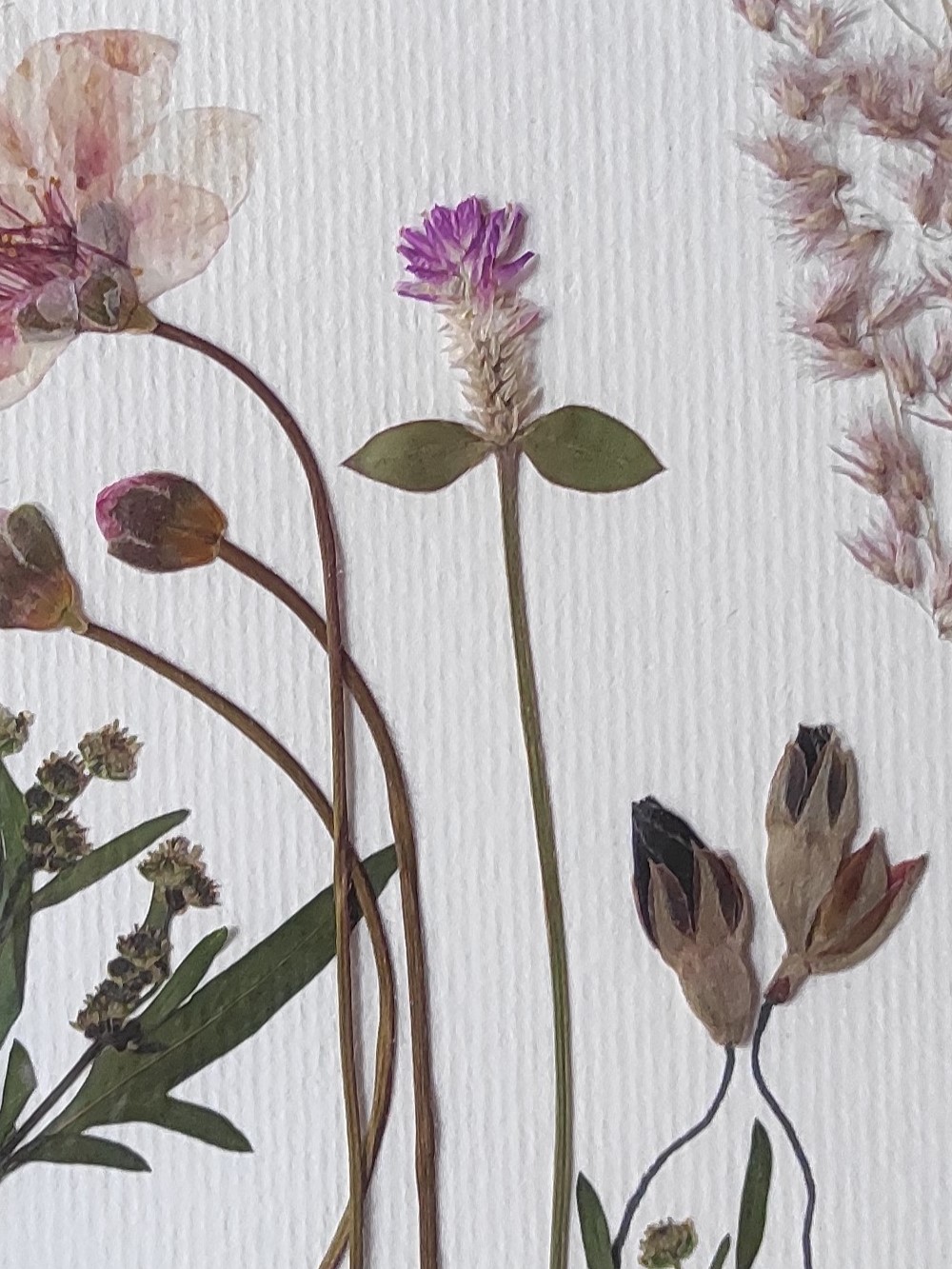 Botões e Flores - imagem 2