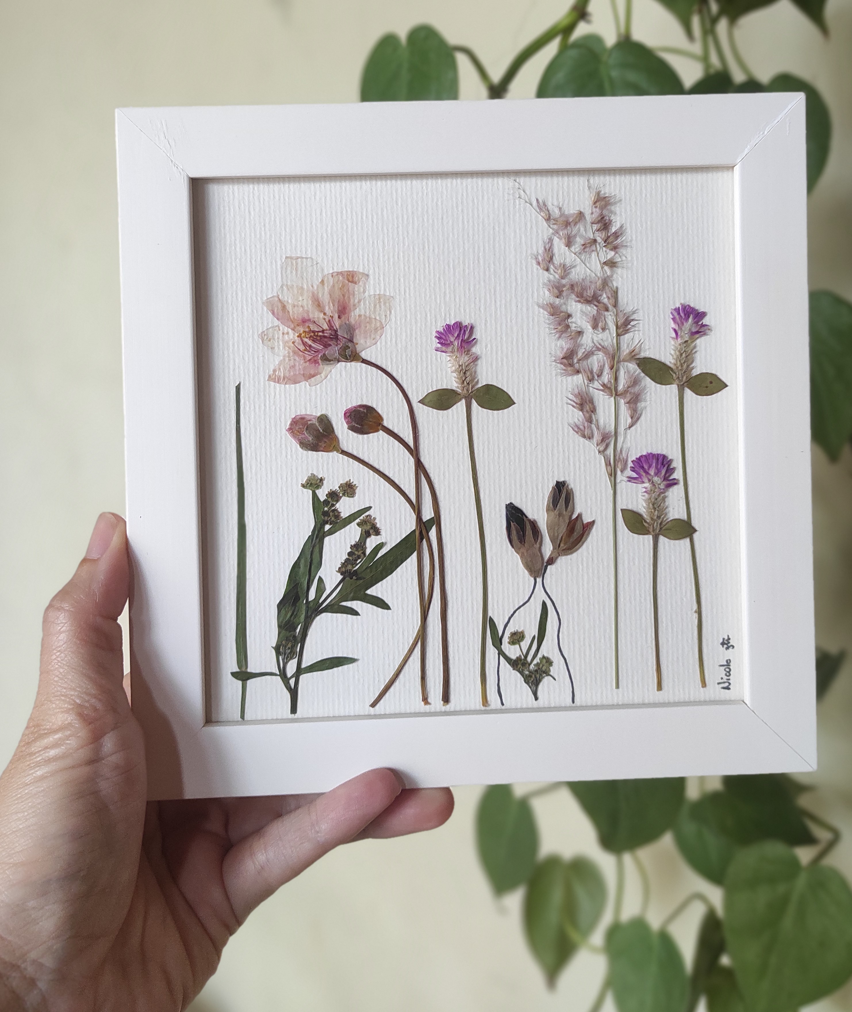 Botões e Flores