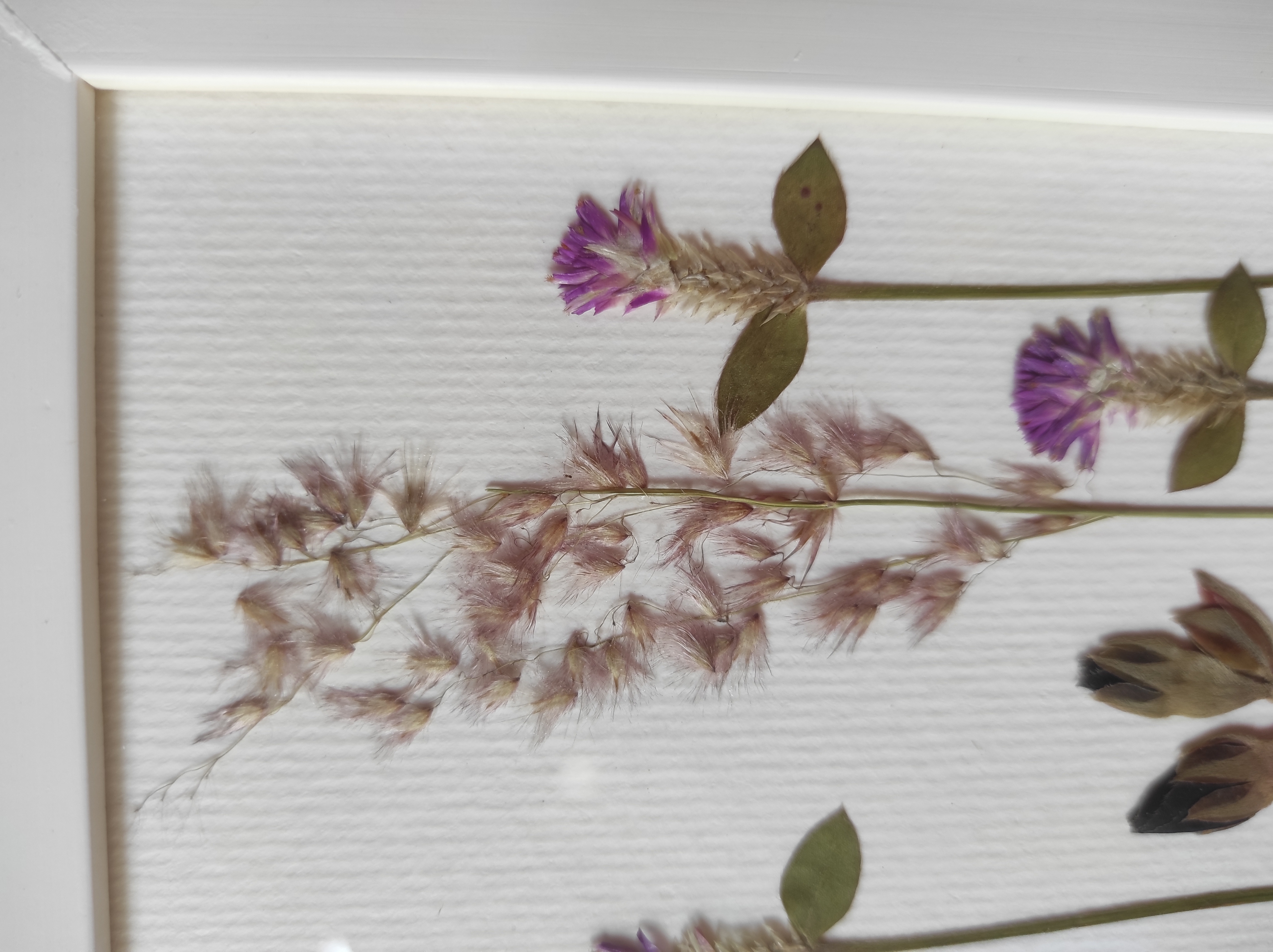Botões e Flores - imagem 3
