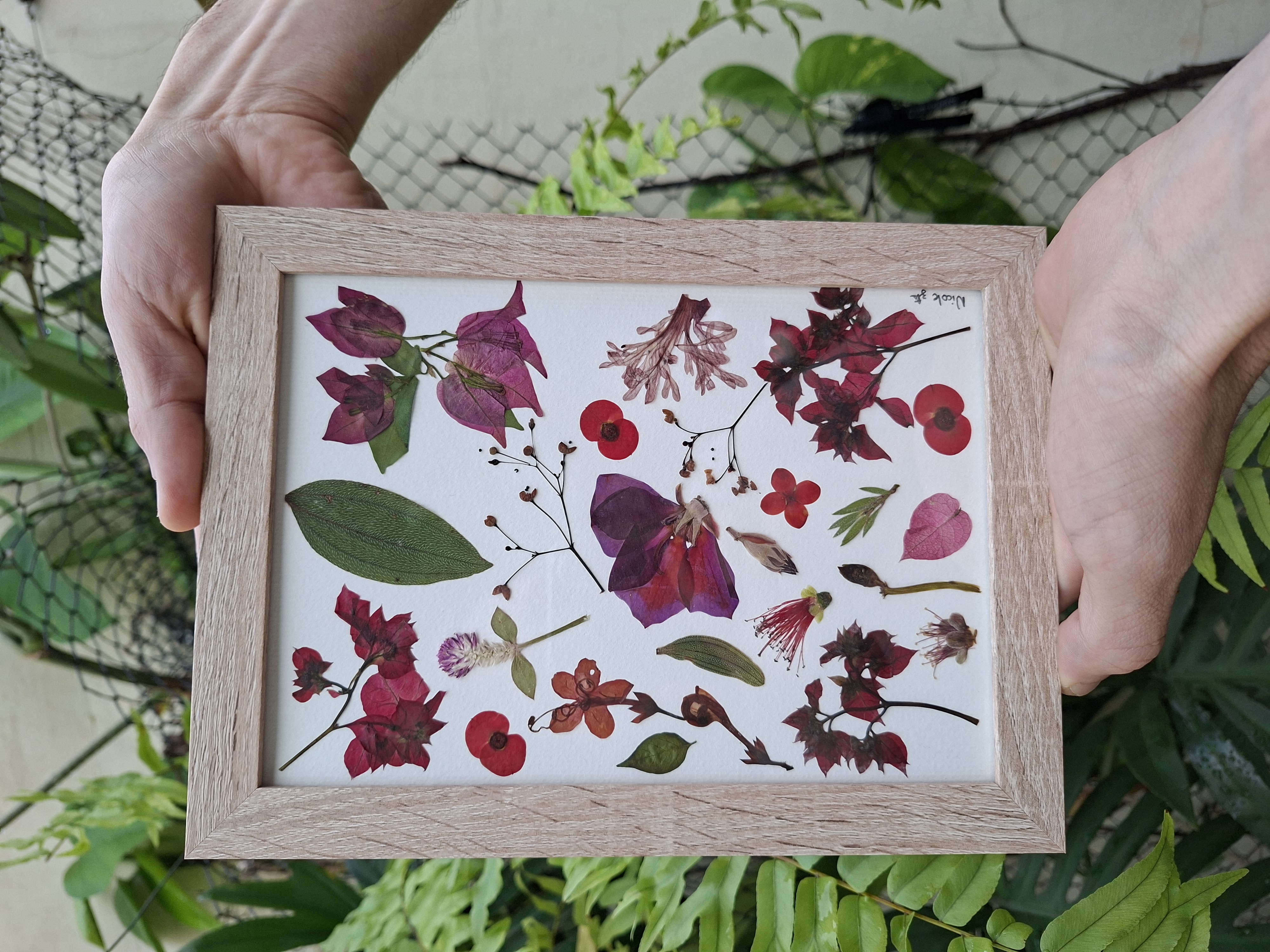 Jardim em Fragmentos