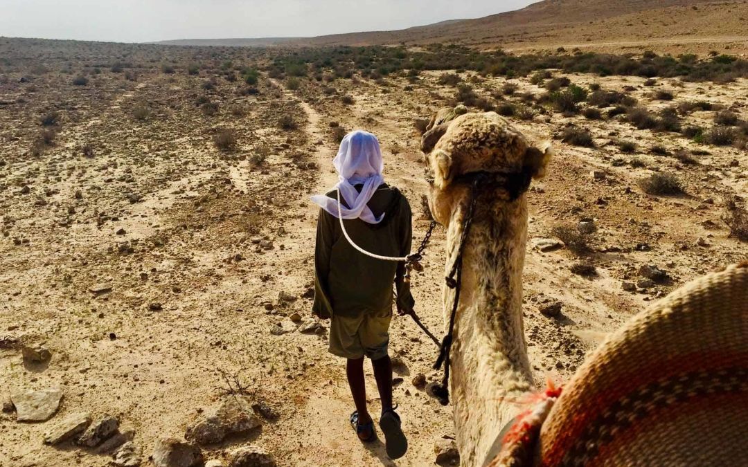 Neulich in der Negev. Oder: Interview mit einem Beduinen