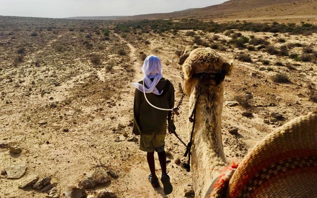 Neulich in der Negev. Oder: Interview mit einem Beduinen
