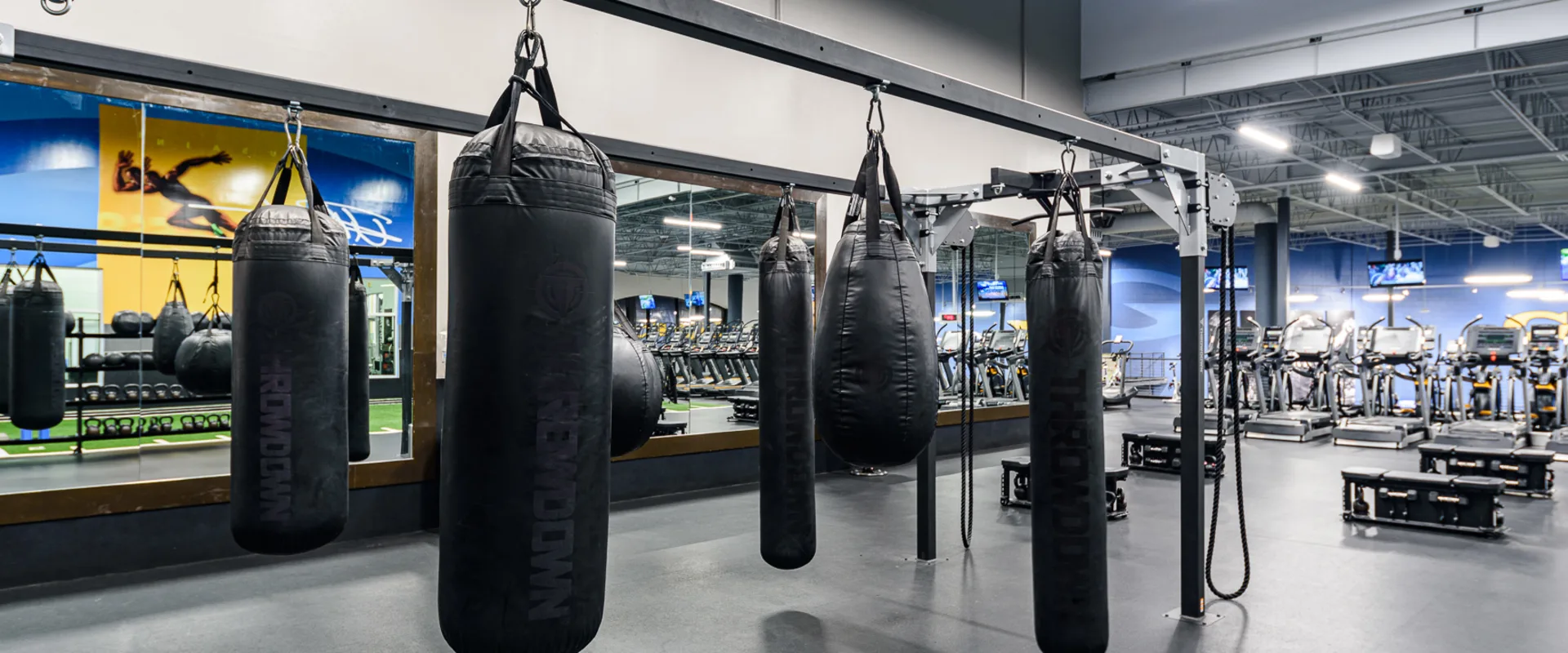 A row of black heavy bags hangs from a sturdy frame in the boxing area. A mirrored wall reflects the bags, with the gym’s cardio section visible in the background. Overhead LED lighting illuminates the space.