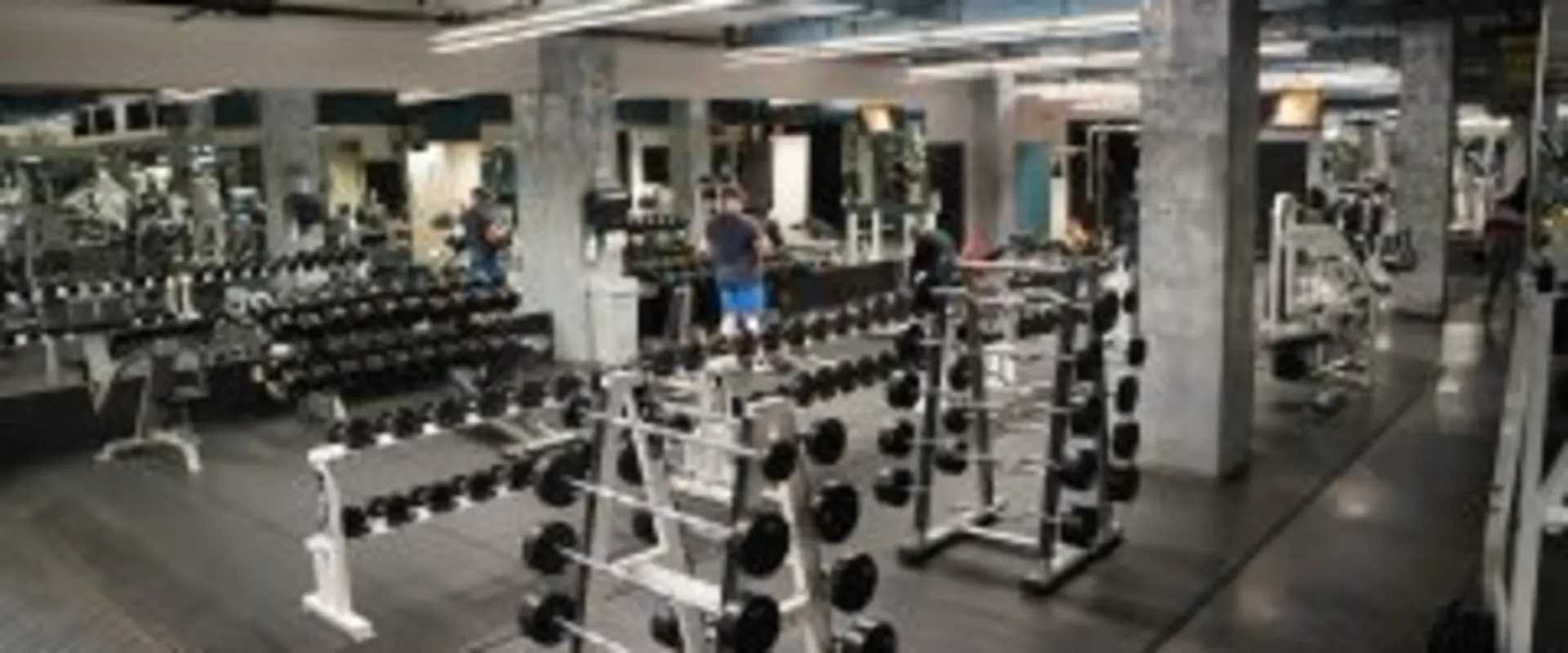 Free Weight Area