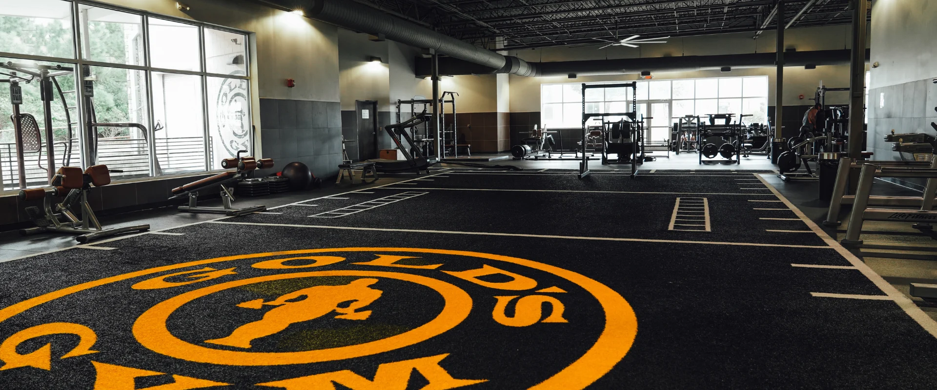 Turf area at Gold's Gym Rock Hill, featuring agility markers and a bold yellow Gold's Gym logo at the center. The open layout provides space for sled pushes, agility drills, and bodyweight exercises. Floor-to-ceiling windows let in natural light, complementing the high-ceiling industrial design.