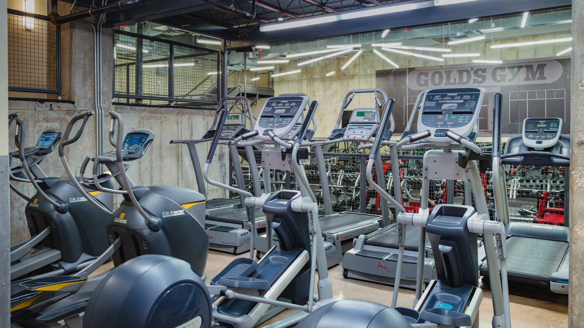 Cardio area at Gold's Gym Austin (Downtown), featuring running treadmills, various elliptical machines, and a large glass window at the front offering a view of the free weights area.