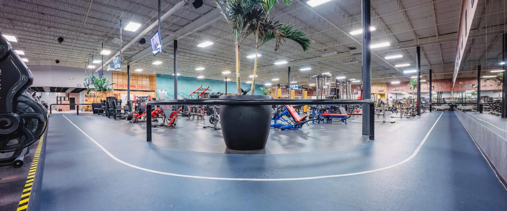 Spacious gym interior with various exercise equipment, featuring a central potted plant under high ceilings. The atmosphere is clean and well-lit.