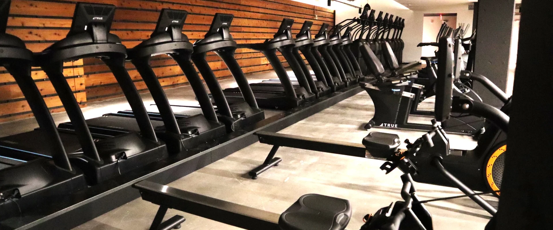 Cardio Area