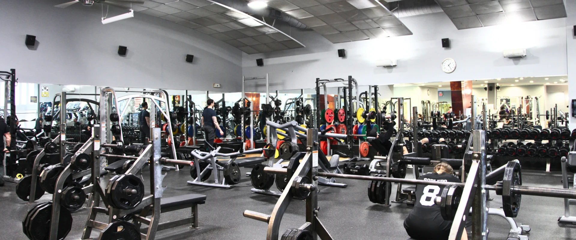 Strength training area at Gold's Gym in Smithtown, showcasing weight benches, barbell racks, and a variety of free weights. The space features mirrored walls reflecting the equipment, with racks of colorful Olympic plates and dumbbells in the background. Gym members are seen working out, and the bright overhead lighting enhances the clean, organized look of the facility.