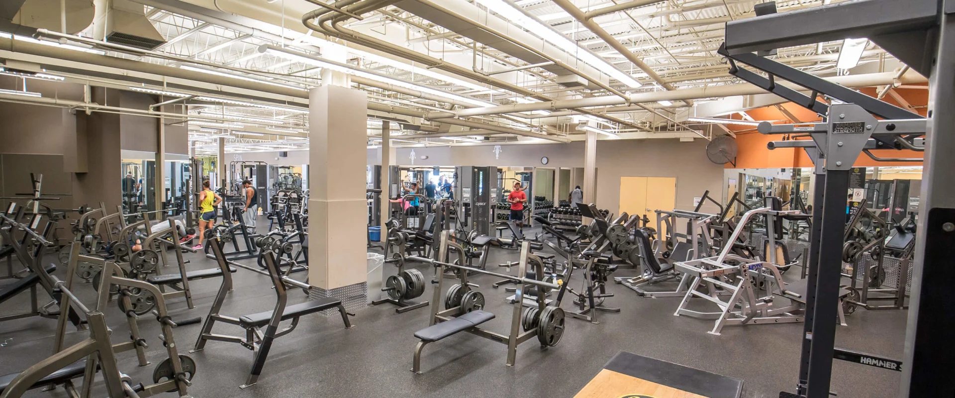 Free Weights
