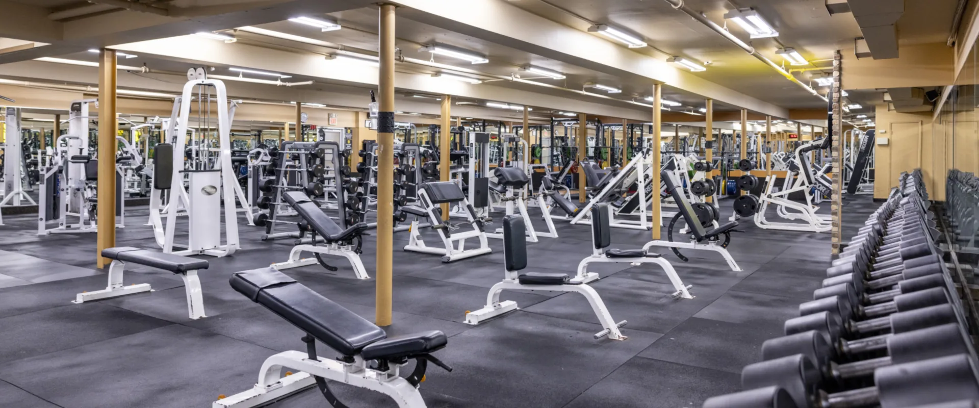 Dumbbell rack at Gold’s Gym in East Northport, New York, lining a mirrored wall alongside adjustable benches and free weight machines. The spacious area features rubber flooring, plate-loaded equipment, and strength training stations arranged in rows under bright overhead lighting.