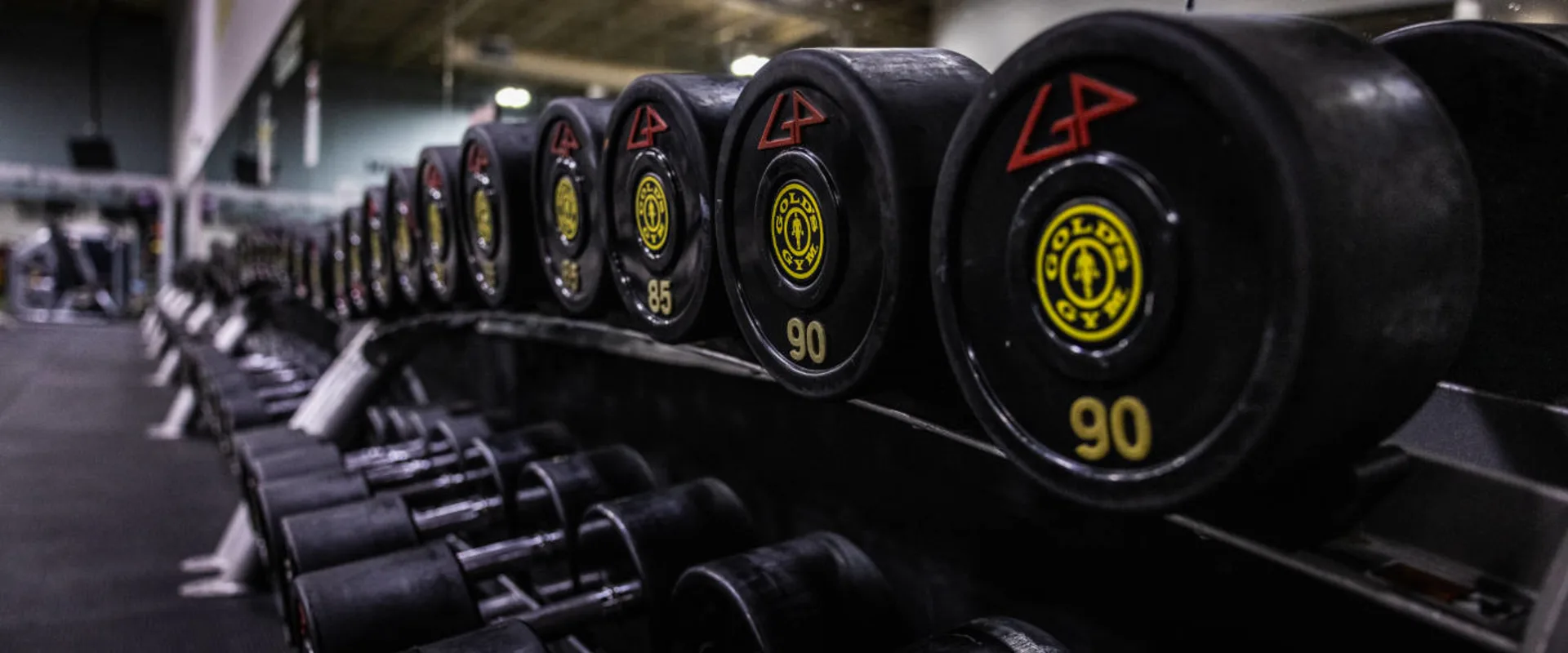 A row of black dumbbells with Gold’s Gym branding sits on a rack at Gold’s Gym in Woodbridge (Lake Ridge). The weights, ranging up to 90 pounds, feature a bold yellow logo at the center with red “GP” markings above. The shot captures the perspective down the length of the rack, with the gym floor and mirrored walls reflecting additional equipment in the background. The lighting casts a subtle sheen on the dumbbells, emphasizing their texture and weight markings.