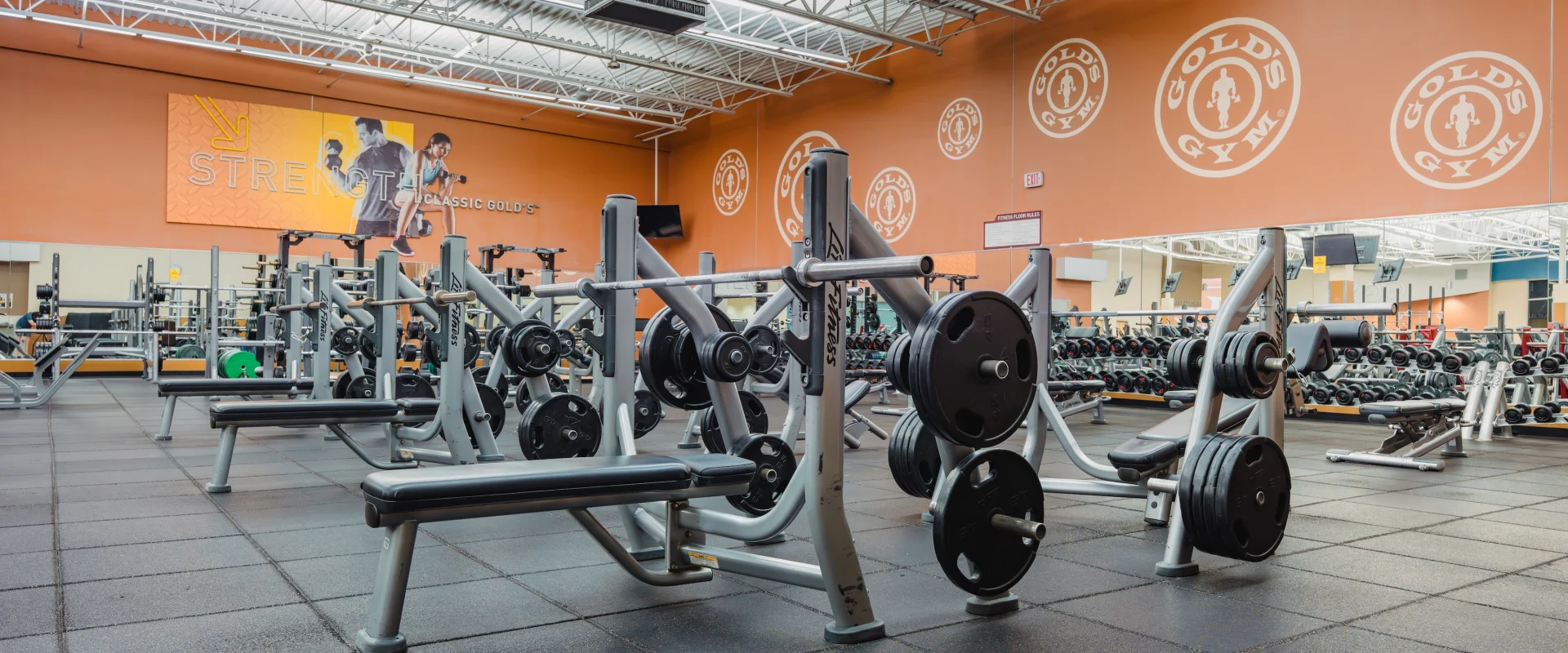 A spacious gym with weightlifting equipment, neatly arranged on a rubber flooring. Bright lighting and orange walls with "Gold's Gym" logos create an energetic ambiance.