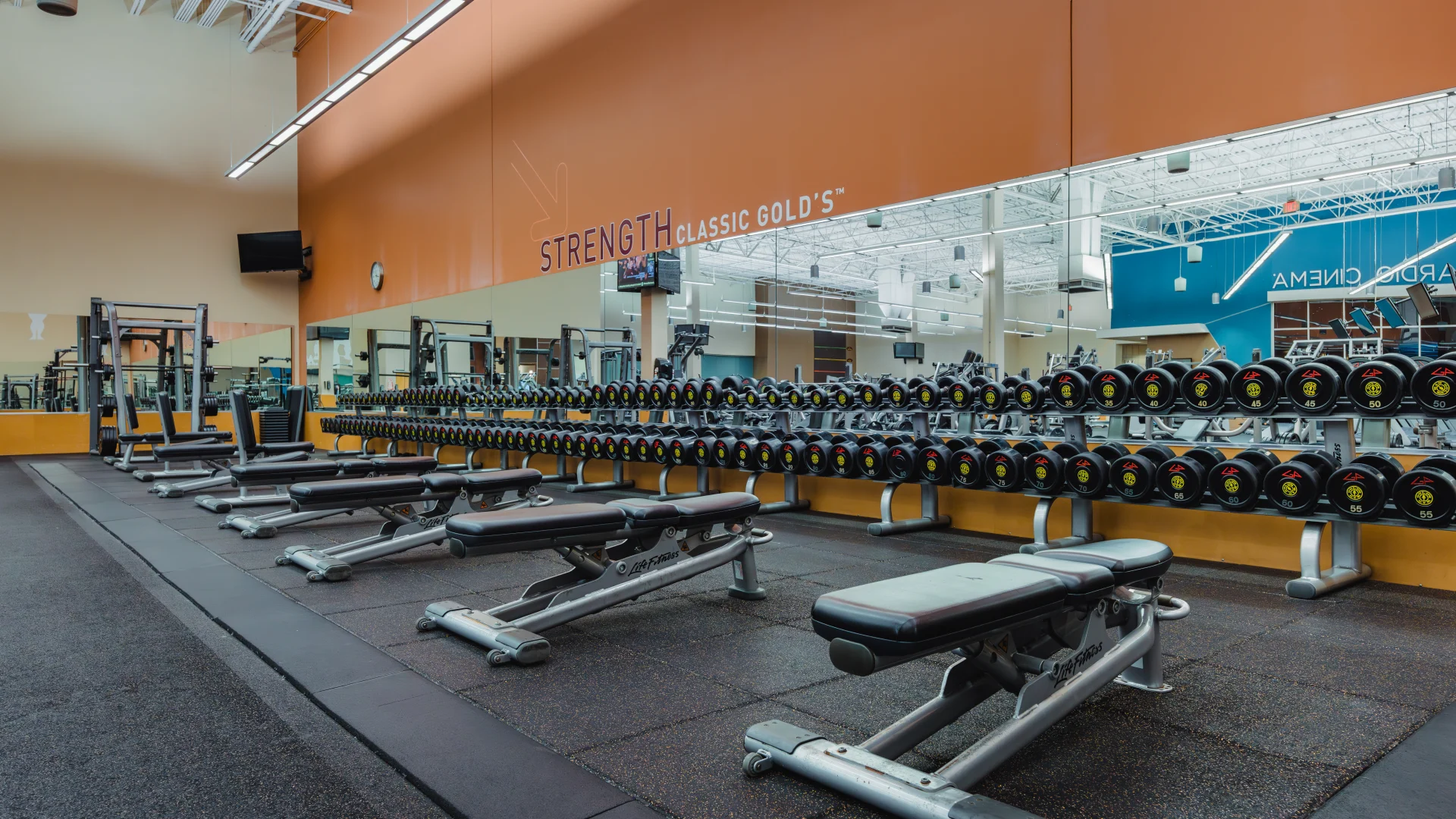 Dumbbell rack and adjustable benches at Gold’s Gym Austin (Anderson Arbor) set against a mirrored wall. The room features an orange accent wall labeled “Strength Classic Gold’s,” rubber flooring, and bright overhead lighting.