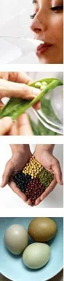 The image shows hands holding various fresh vegetables and herbs, including green onions and a variety of colorful peppercorns.