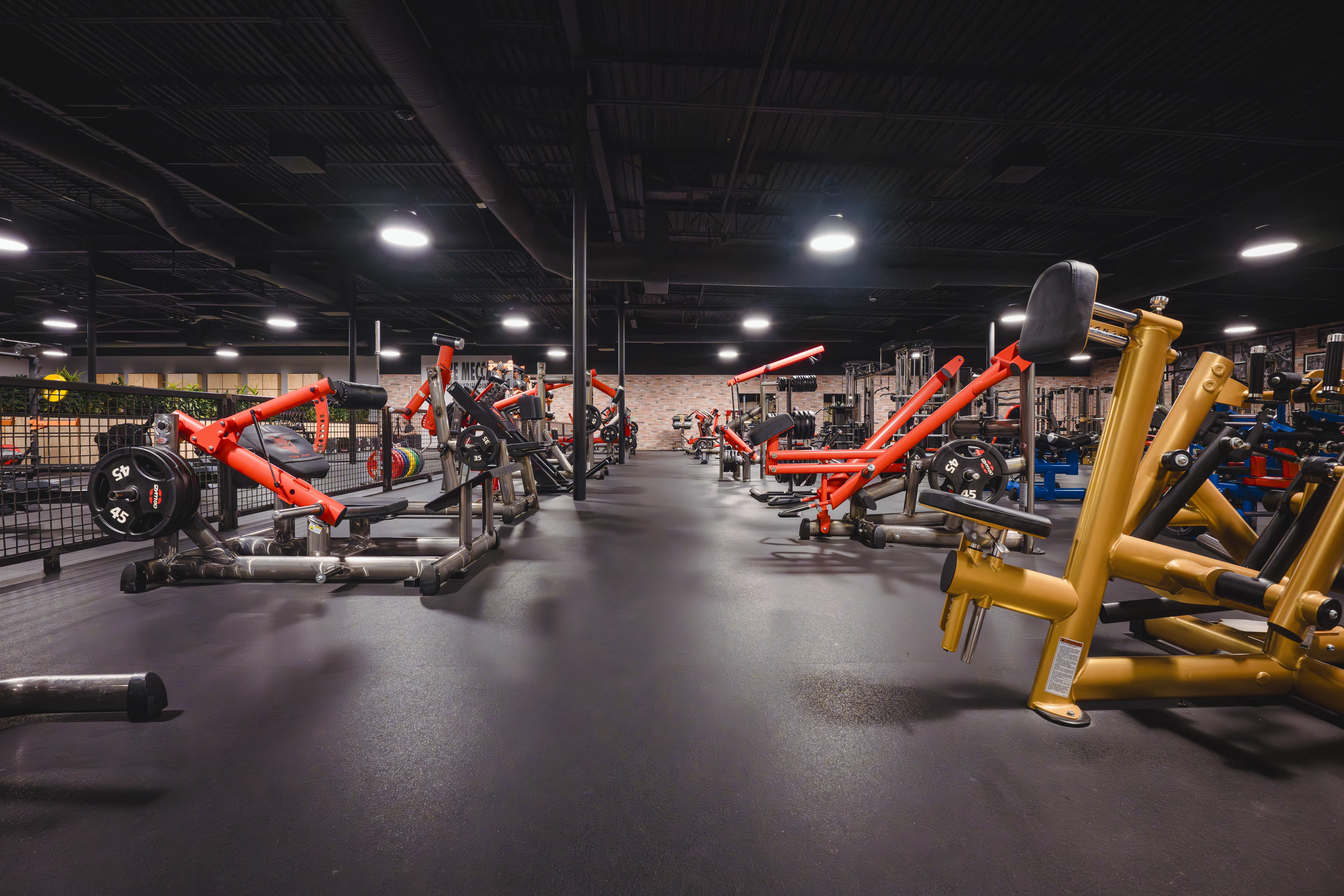 Gold's Gym Highland Meadows | TX 75218 | Rise To The Challenge