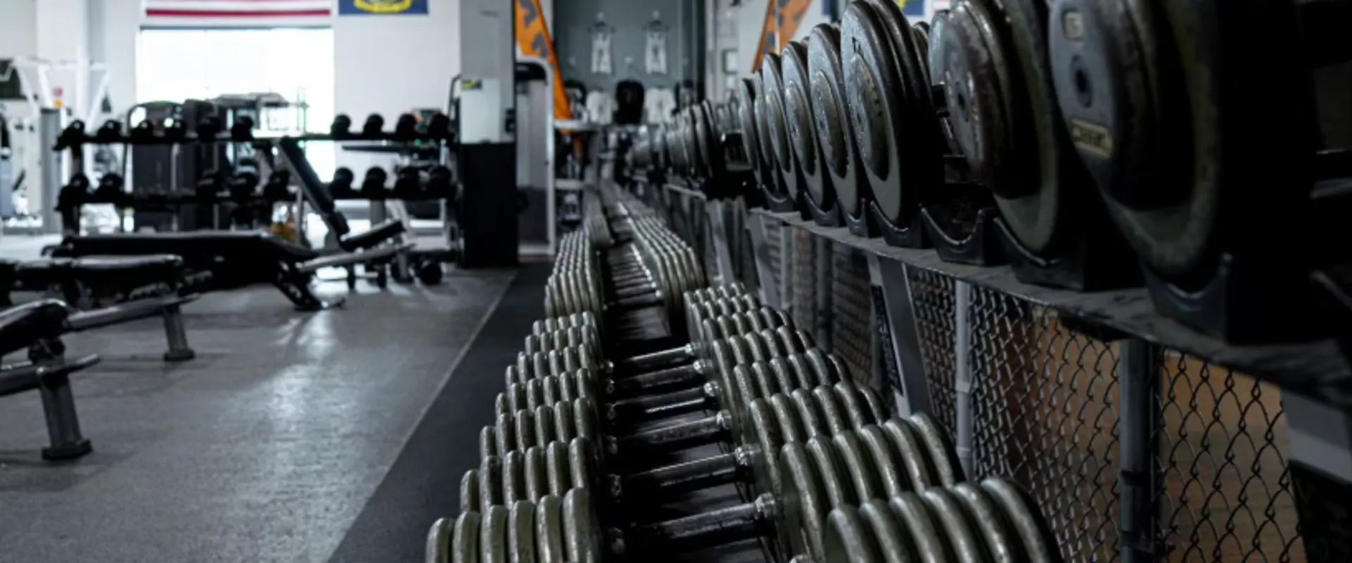 Iron Dumbells