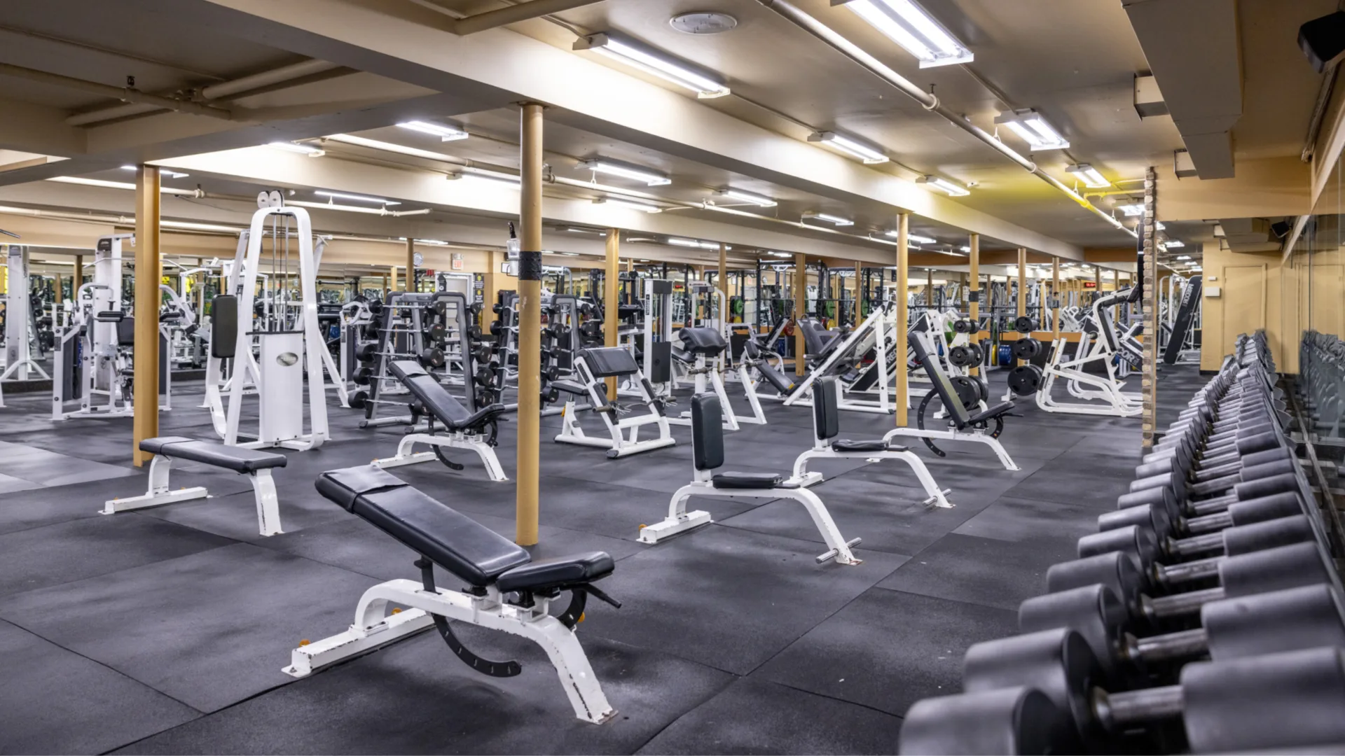 Dumbbell rack at Gold’s Gym in East Northport, New York, lining a mirrored wall alongside adjustable benches and free weight machines. The spacious area features rubber flooring, plate-loaded equipment, and strength training stations arranged in rows under bright overhead lighting.