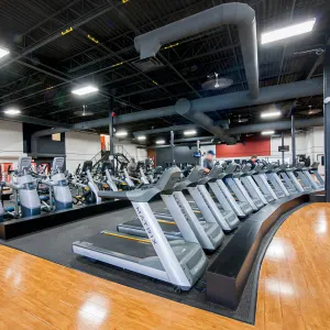 Gold's Gym Place Vertu