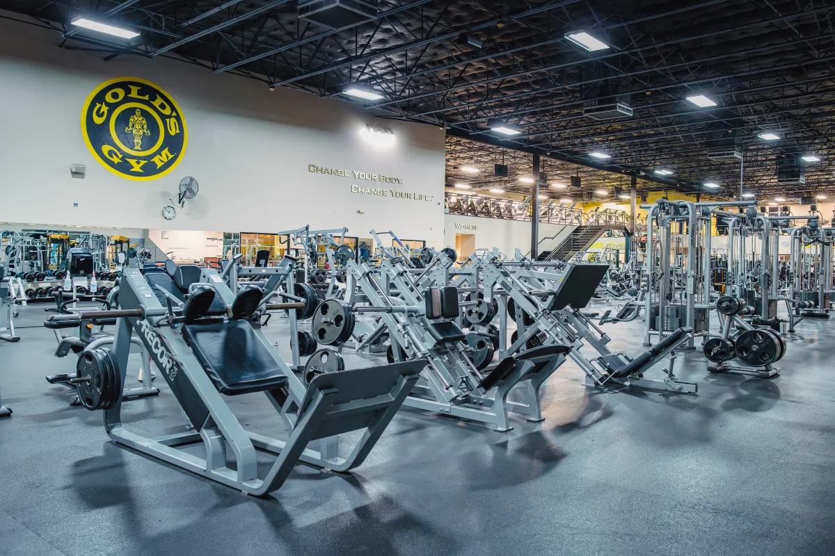 その他 Gold gym Golds Gym 755 Power Cage Bench - GLSY2662.1 / GLSY26621