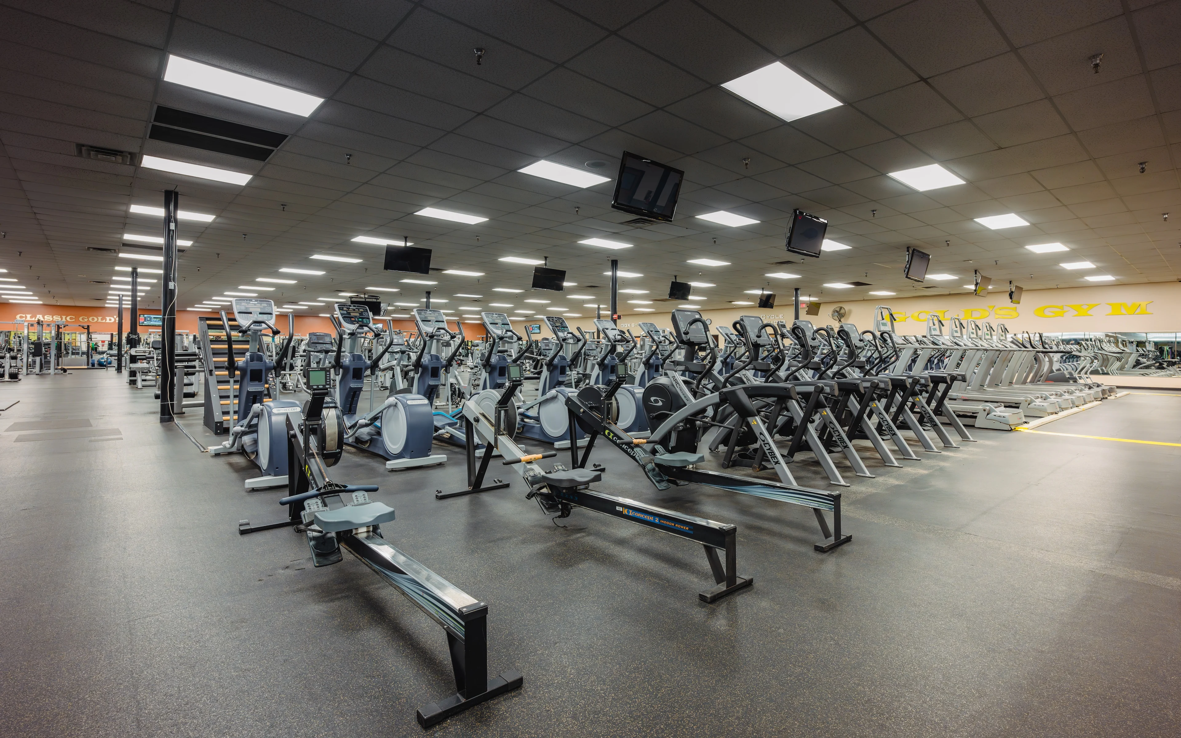 その他 Gold gym austin-southeast-cardio-