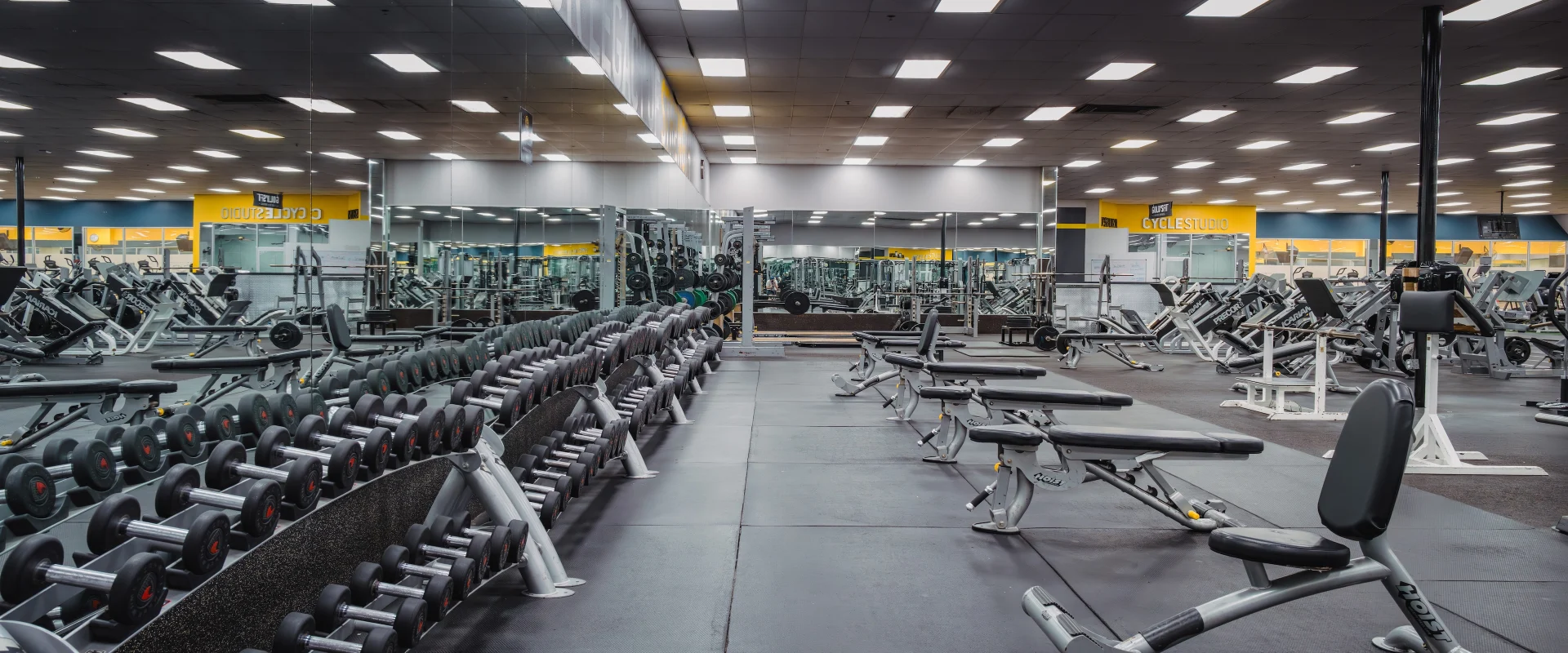 Dumbbell area at Gold’s Gym in Austin (South Central), featuring rows of neatly organized dumbbells on tiered racks facing mirrored walls. Adjustable benches are positioned nearby for strength training exercises, with rubber flooring providing a stable workout surface. The space is brightly lit with overhead lighting, and additional free weight equipment is visible in the background.
