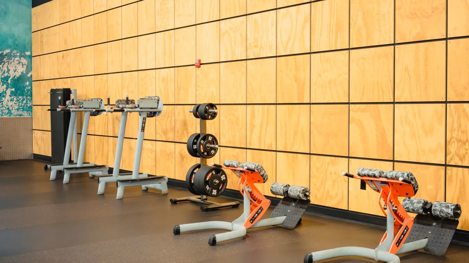 Gold's Gym San Antonio Bandera Trails | TX 78023 | Strength Training