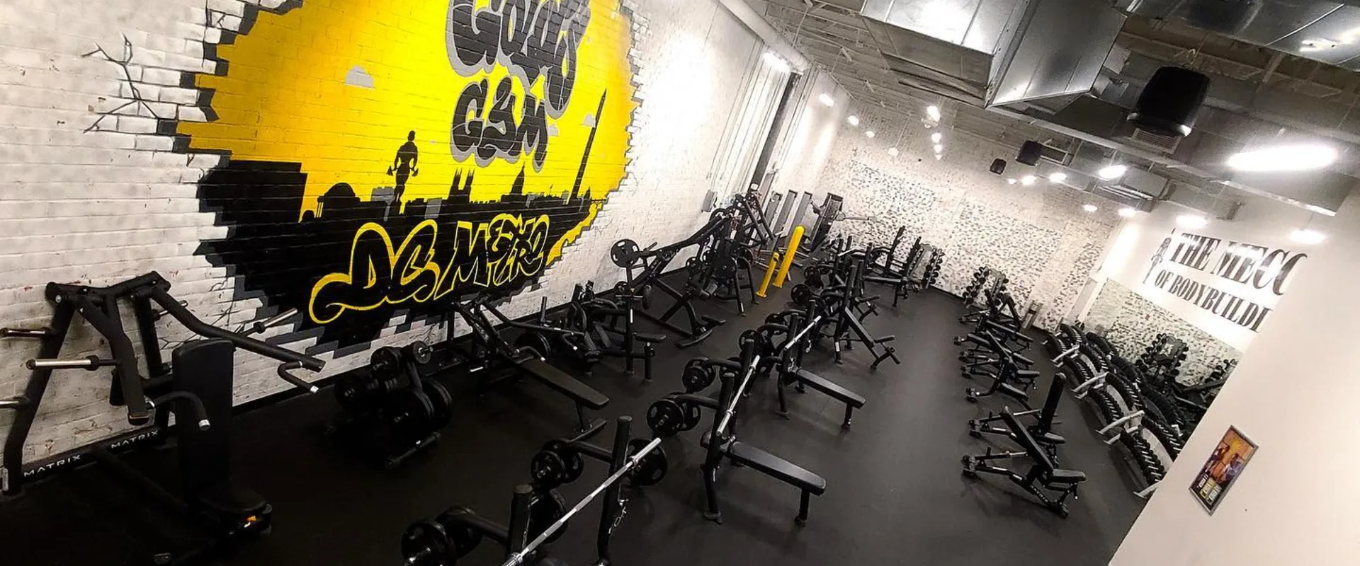 Free Weight Area