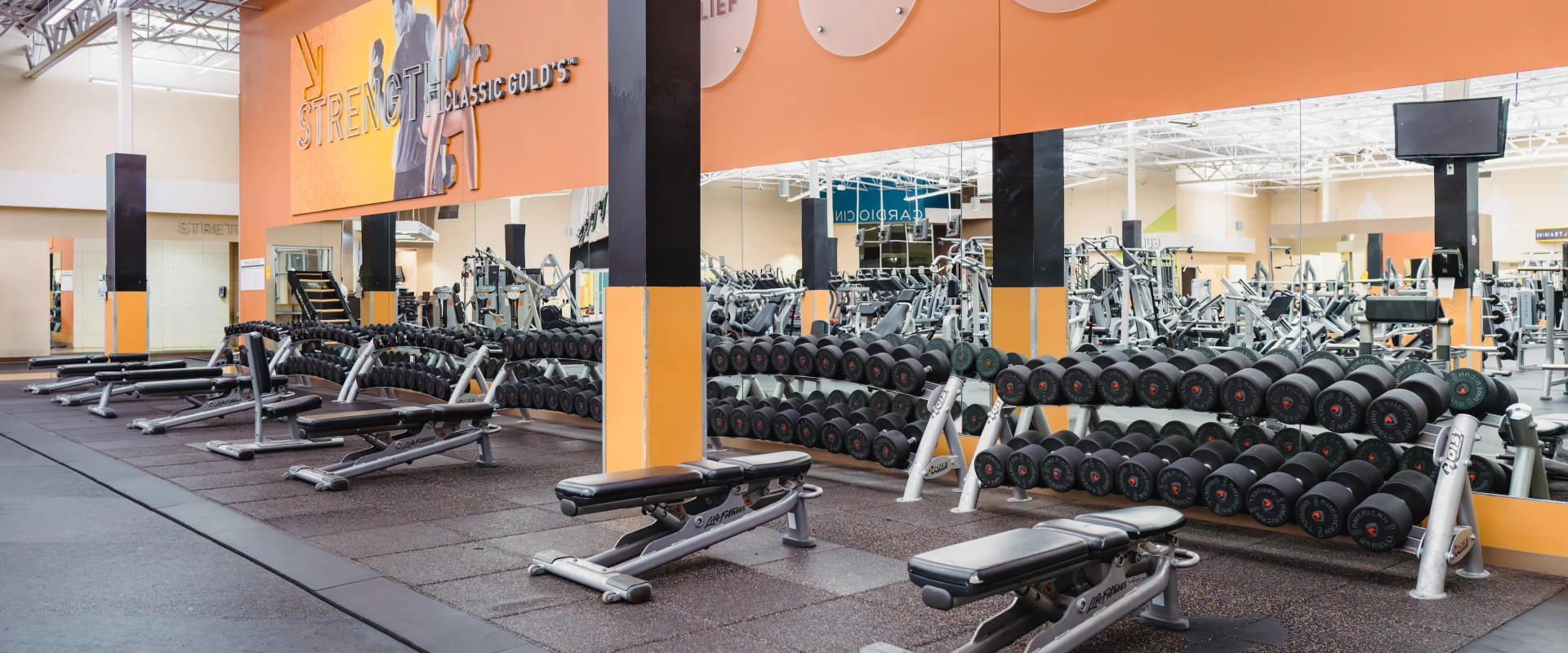 Bright gym interior with rows of dumbbells and benches, orange walls with motivational words like "Attitude" and "Action." Clean, organized, and inviting atmosphere.