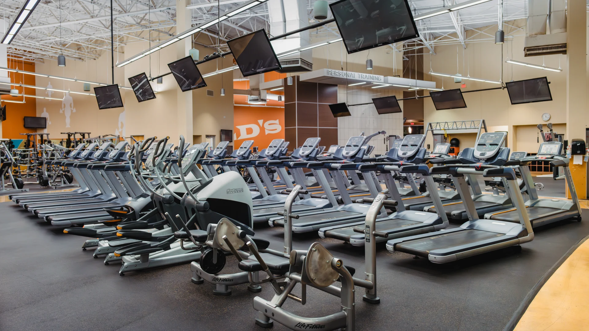 Rows of treadmills and elliptical machines at Gold’s Gym Austin (Anderson Arbor) arranged under ceiling-mounted TVs and bright overhead lights. The spacious room features a polished black floor, high ceilings, and beige walls with fitness-themed silhouettes.