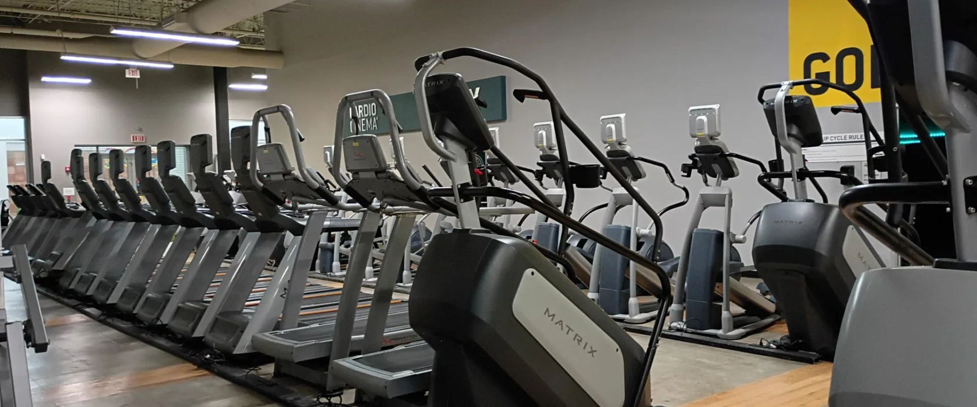 Cardio machines including treadmills and stair climbers lined up inside Gold’s Gym South Texas in Harlingen.