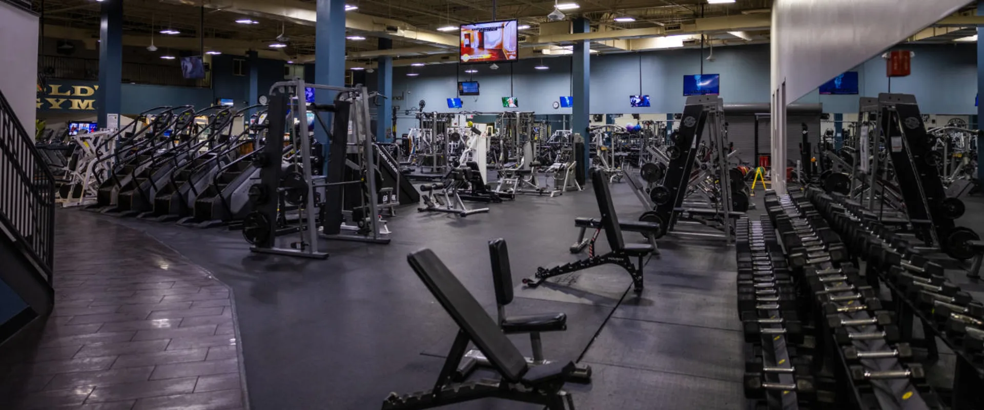 A free weights section at Gold’s Gym in Woodbridge (Lake Ridge) features a long row of dumbbells organized on black racks. Adjustable benches are positioned nearby for various strength exercises. To the left, a row of stair climbers lines the cardio area. Strength training machines and cable stations fill the background, along with several mounted televisions. The gym floor is covered in black rubber, contrasting with the adjacent tiled walkway. The Gold’s Gym logo is visible on a dark blue wall in the distance.