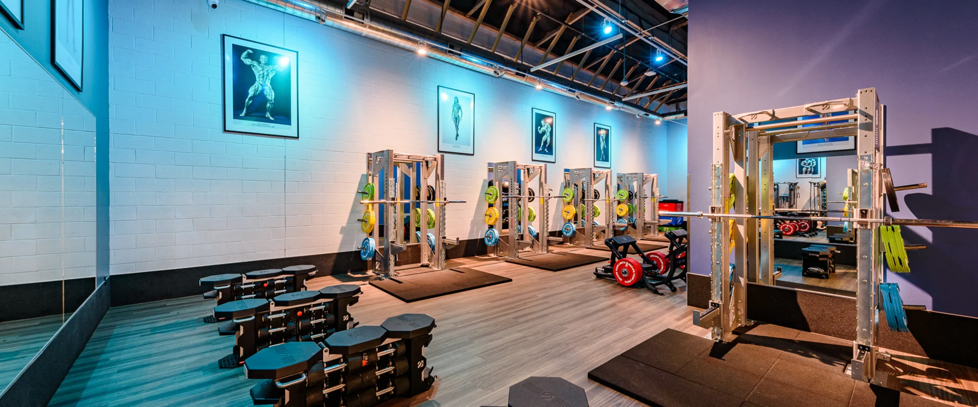 The free weights area at Gold’s Gym Cerritos features rows of hexagonal dumbbells on sleek black racks, positioned on light wood-style flooring. Multiple squat racks with silver frames and color-coded bumper plates line the back wall, each set on a black rubber platform. Framed images of classic bodybuilding poses decorate the white brick wall. Overhead industrial lighting and exposed ductwork, with large mirrors along the side wall for form checks and self-correction.