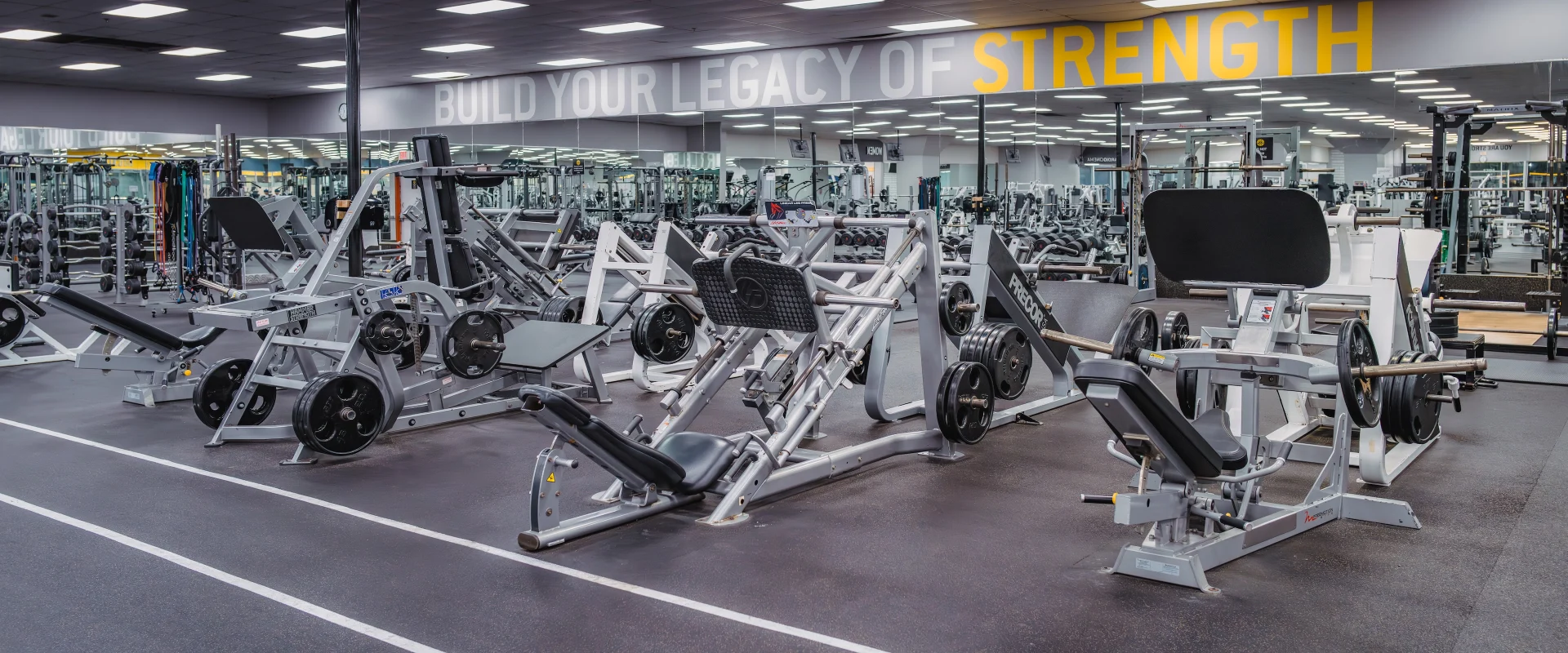 Free weight area at Gold’s Gym in Austin (South Central), featuring plate-loaded machines, squat racks, and benches arranged on rubber flooring. The space includes barbell sets with weight plates and mirrored walls for form checks. Overhead lighting brightens the area, with a motivational “Build Your Legacy of Strength” slogan displayed above the mirrors.