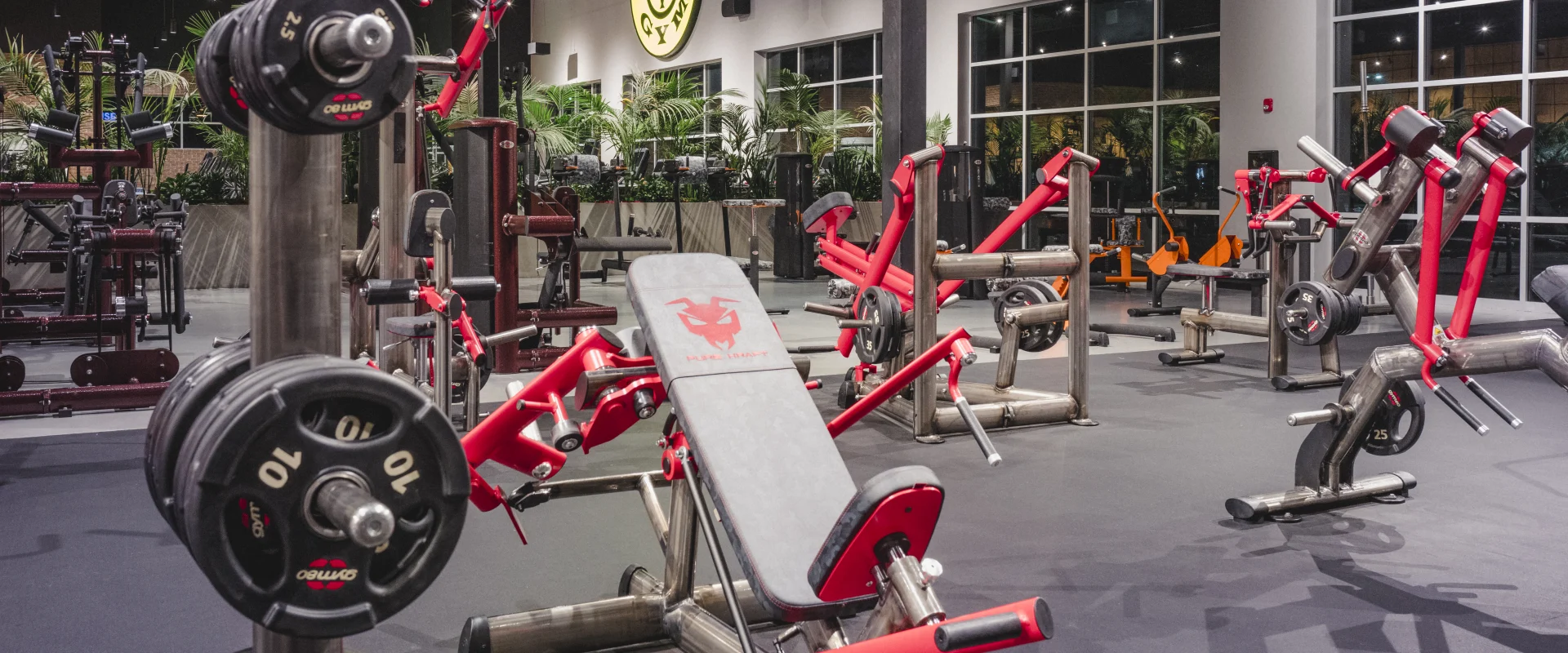 Close-up view of the free weights area at Gold’s Gym Little Elm, featuring weight racks, adjustable benches, and a variety of weightlifting equipment. The gym floor is surrounded by vibrant greenery, while the Gold’s Gym logo and motivational quote are visible on the far wall, illuminated by overhead lighting.
