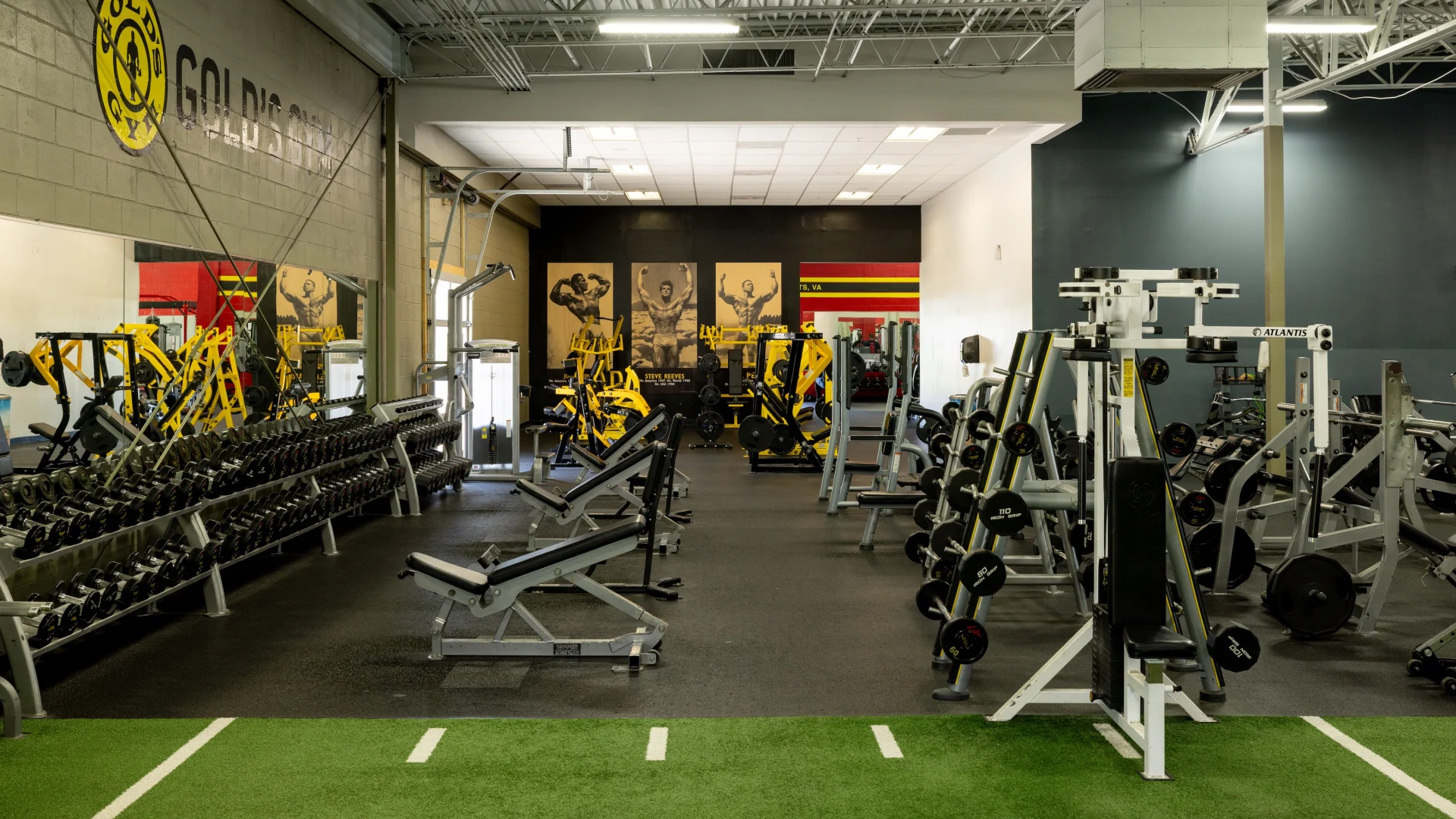 Free weights and Hammer Strength equipment