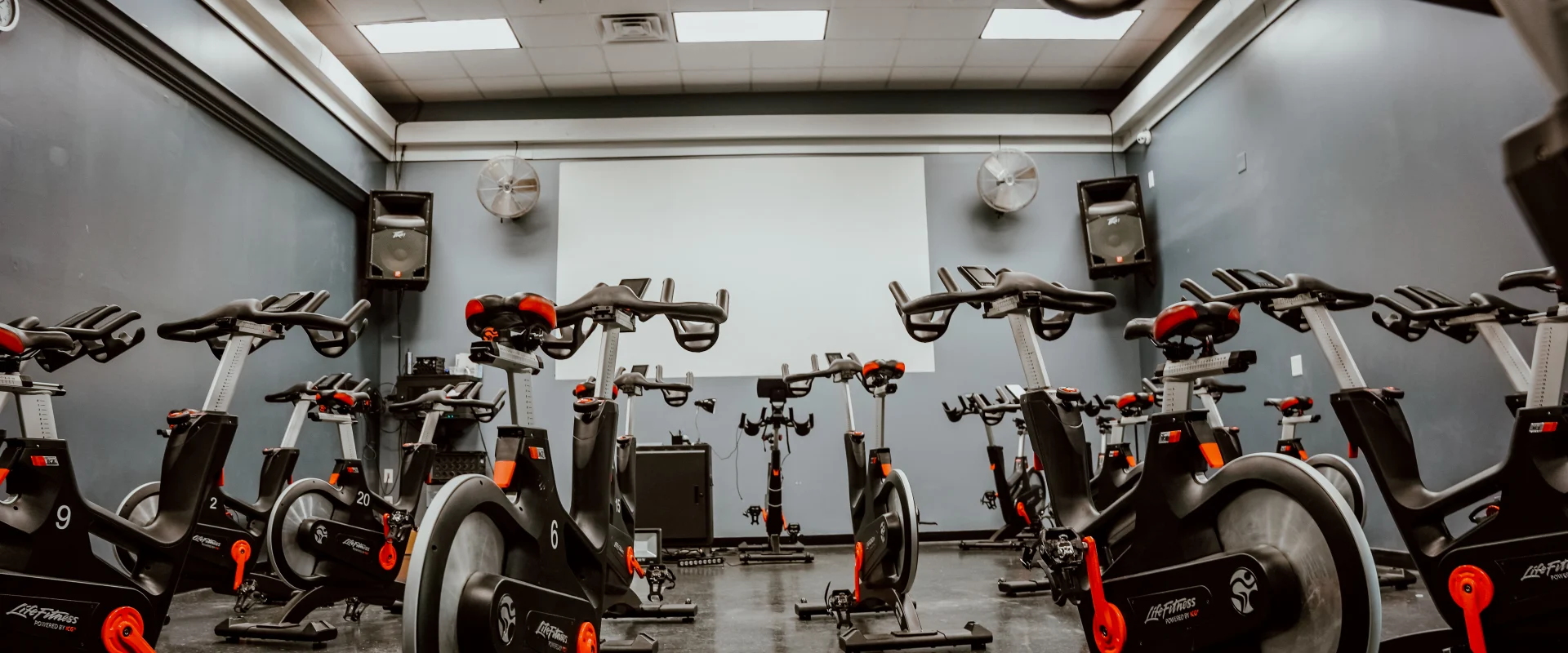 Group cycle room at Gold's Gym Murfreesboro, Tennessee, featuring rows of stationary spin bikes arranged in a well-lit space with gray walls, ceiling fans, and a large projection screen at the front.