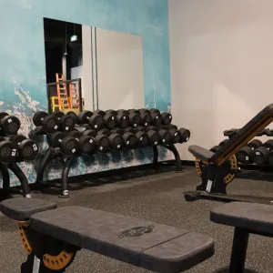 Gold's Gym Buffalo Run