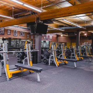 Gold's Gym Austin (Highland)