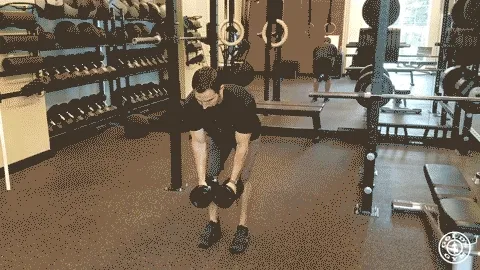 Workout Movement Reverse Fly