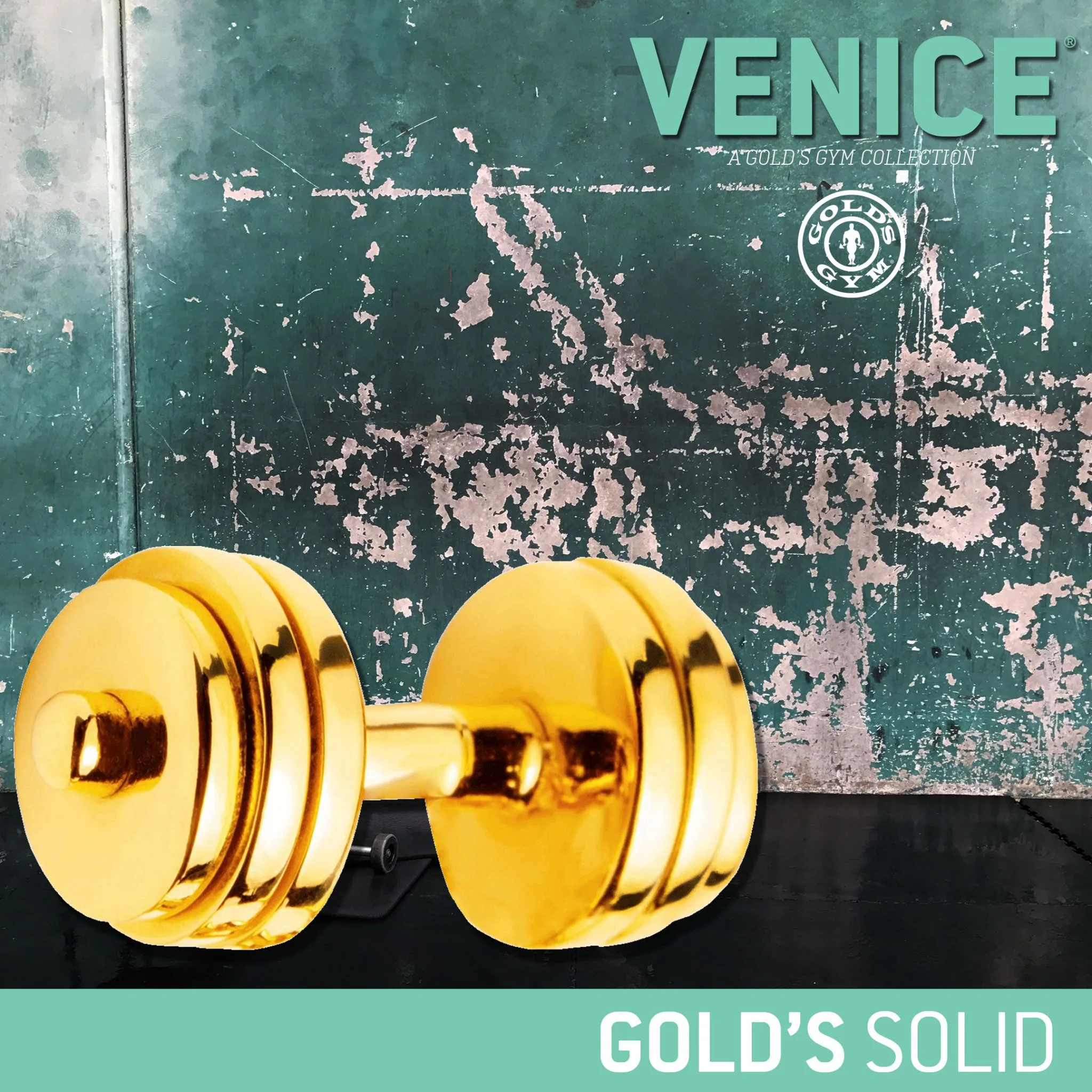venice collection solid gold dumbbell