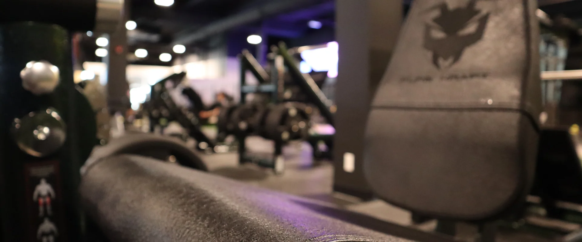 Gym80 equipment at Gold’s Gym Canada, Buffalo Run, Alberta, featuring a close-up of premium padded seating with textured upholstery for durability and comfort. The gym floor showcases additional strength-training machines in the background, set under high ceilings with industrial lighting that creates a professional and focused training environment.