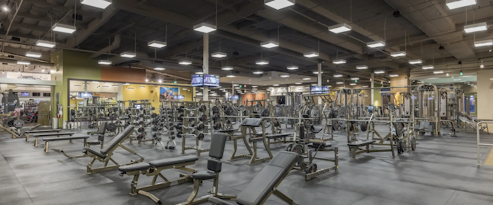 Montclair gym free weight training