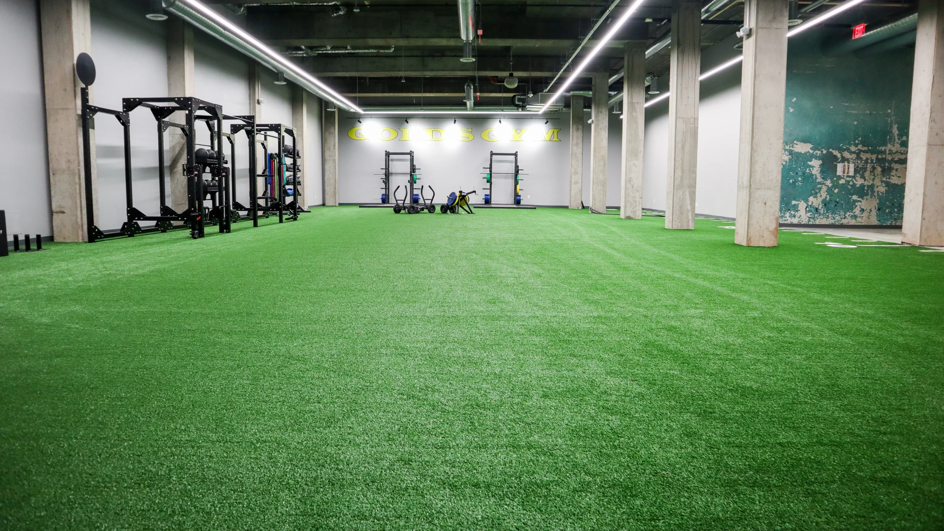 Functional Turf Area