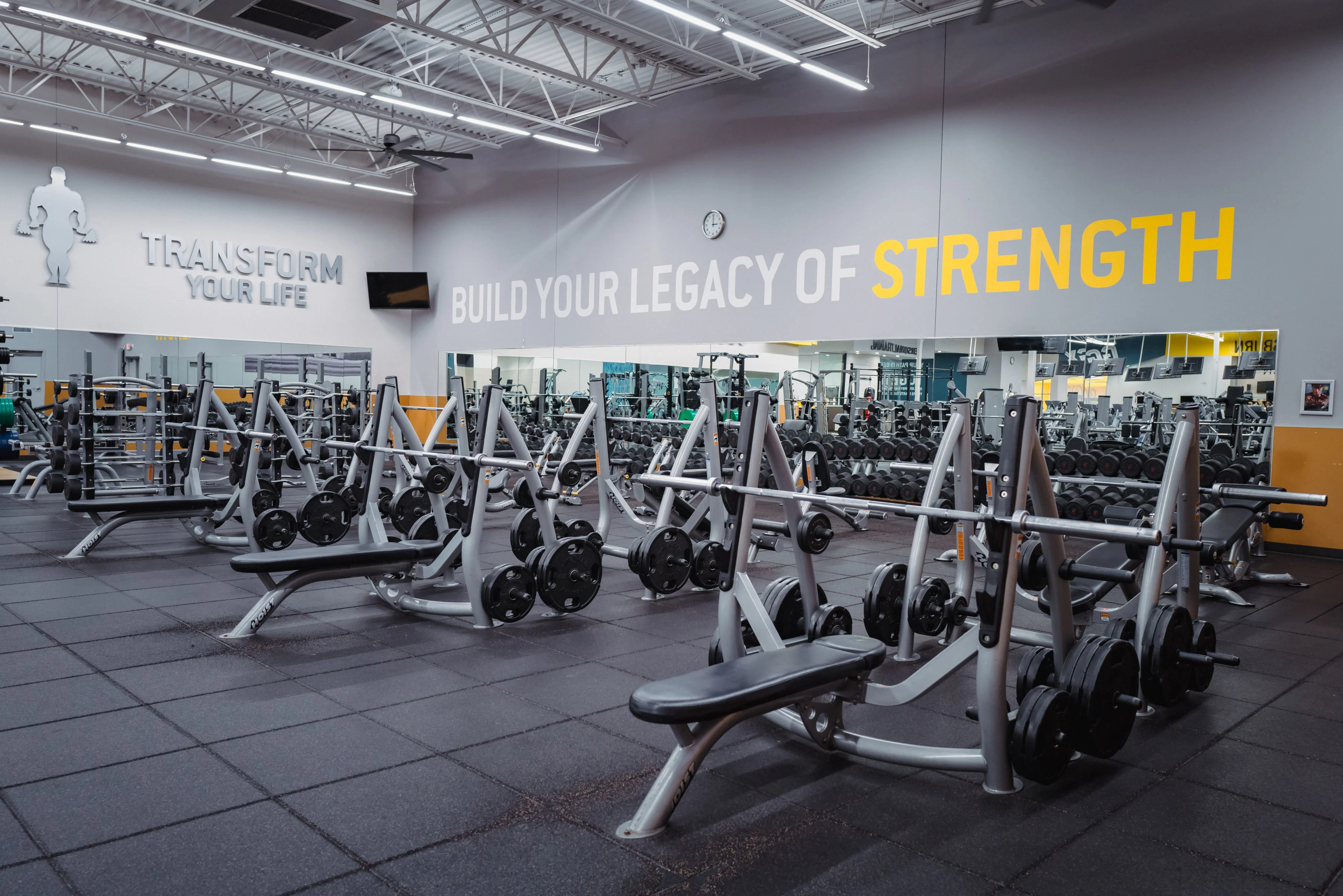 Gold's Gym Copperas Cove | Copperas Cove, TX 76522 | Build Strength
