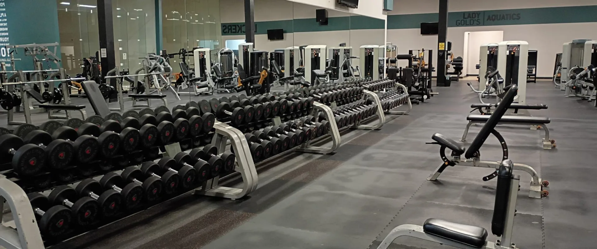 Dumbbell racks and benches in the free weight area at Gold’s Gym South Texas in Harlingen.