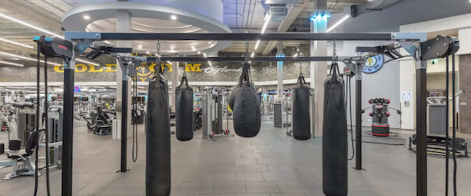 heavy bags at golds gym glendale ca